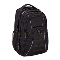 AmazonBasics Laptop Computer Backpack