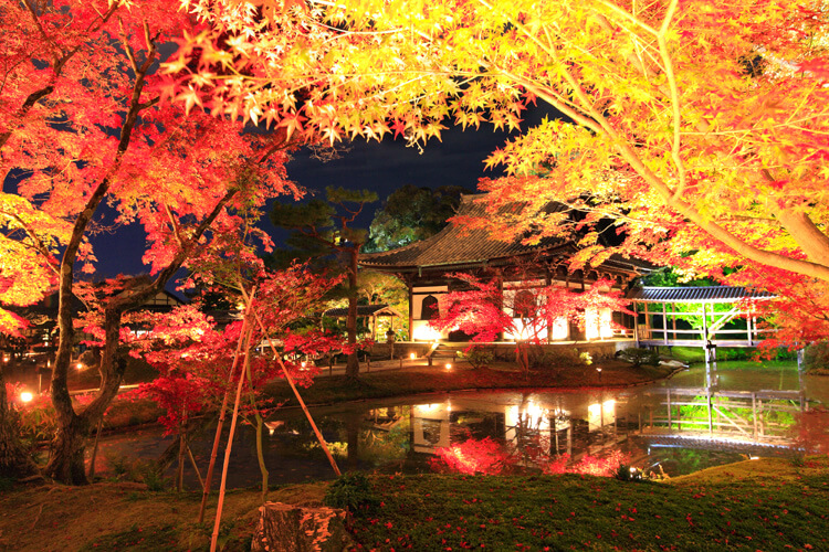 Daigo Ji Temple in Kyoto, Japan