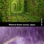Place You Should Go